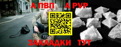 шишки Кингисепп