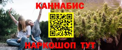 шишки Кингисепп