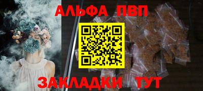шишки Кингисепп