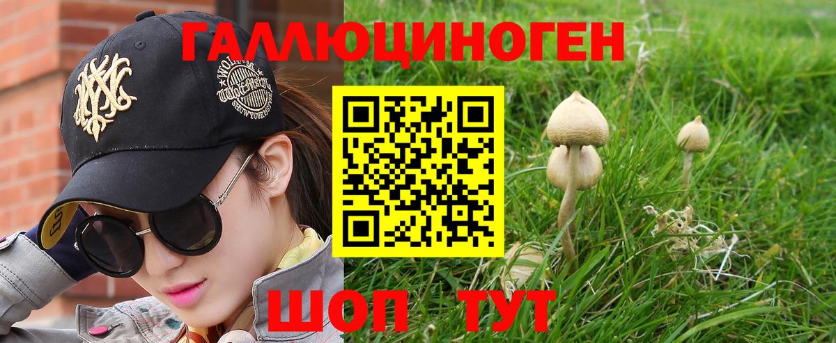 Псилоцибиновые грибы Psilocybine cubensis  Галлюциногенные грибы мицелий  Вход с VPN  Нижний Новгород 